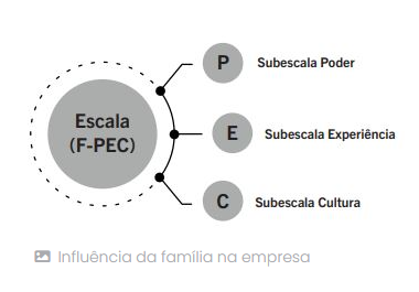Escala F-PEC(+): A influência da família na empresa